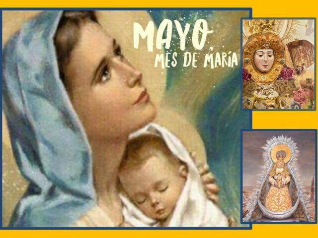 346485668_3389968391317239_6721225915559401648_n