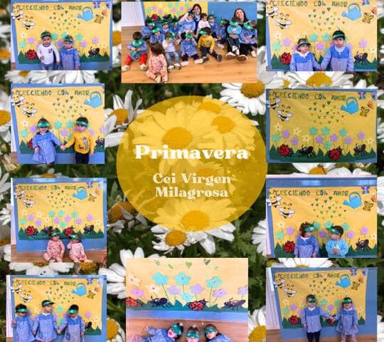 432218294_951315680330914_9089765447674981088_n